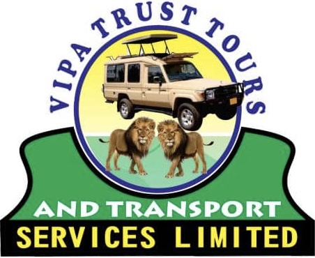 Your Tours and Travel Company Logo